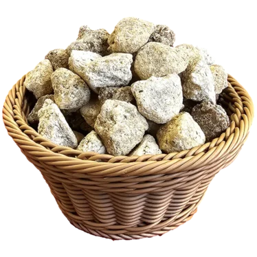 کشک گوسفندی