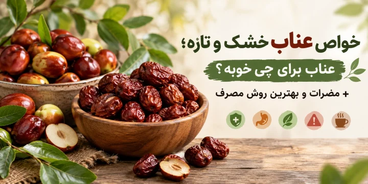 خواص عناب