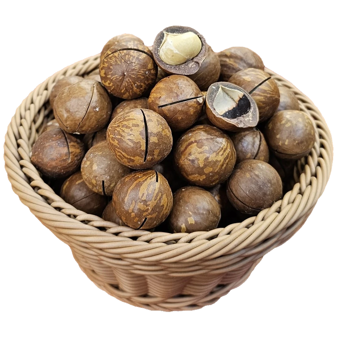 ماکادمیا ماکادمیا