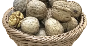 گردو محلی پوست نیمه کاغذی
