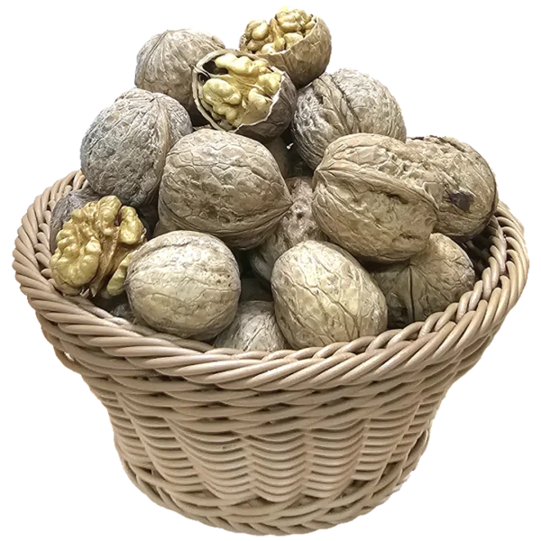 گردو محلی پوست نیمه کاغذی