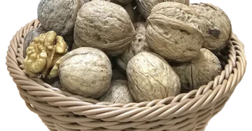 گردو پوست نیمه کاغذی