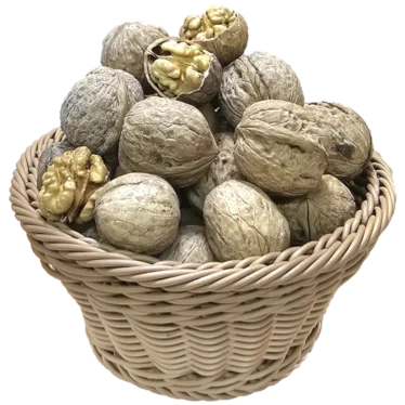 گردو پوست نیمه کاغذی