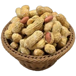 بادام زمینی غلافدار