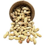 بادام زمینی غلافدار