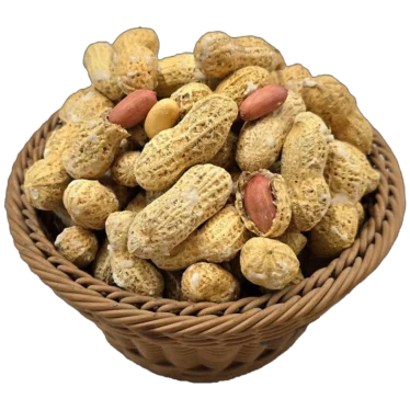 بادام زمینی غلافدار