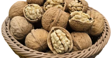 گردو با پوست ۵۰۰ گرمی
