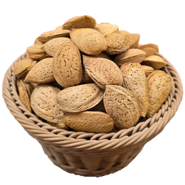 بادام درختی با پوست
