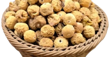انجیر ریز استهبان
