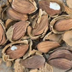 بادام نیم کاغذی
