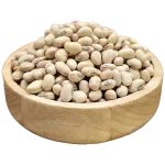 سویا آجیلی