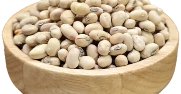 سویا آجیلی