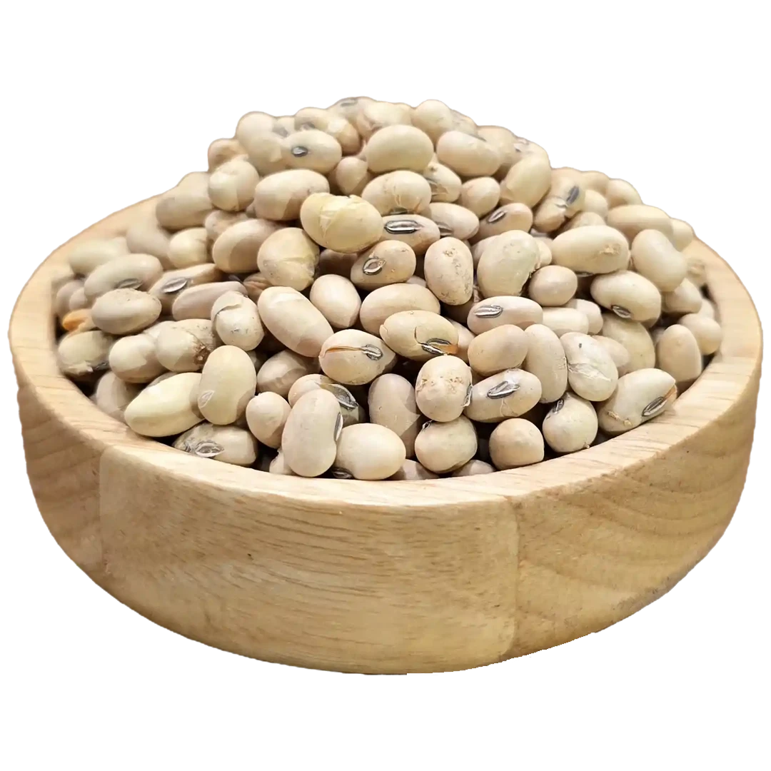 سویا آجیلی سویا آجیلی