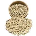 سویا آجیلی