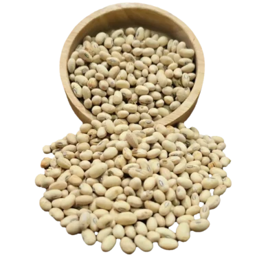 سویا آجیلی