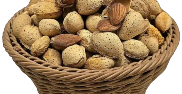 بادام نیم کاغذی