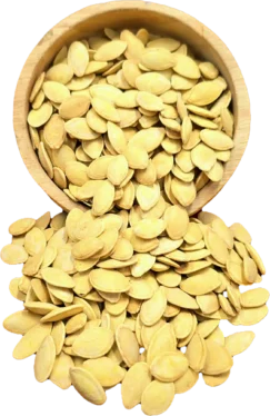 تخمه کدو
