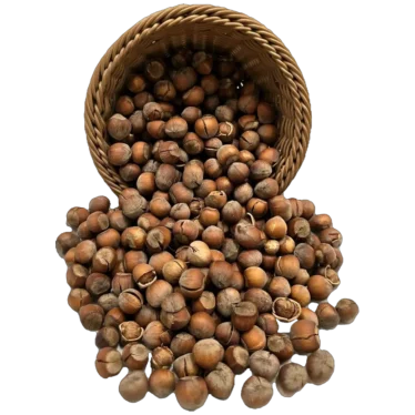 فندق خام
