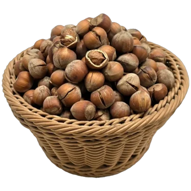 فندق خام