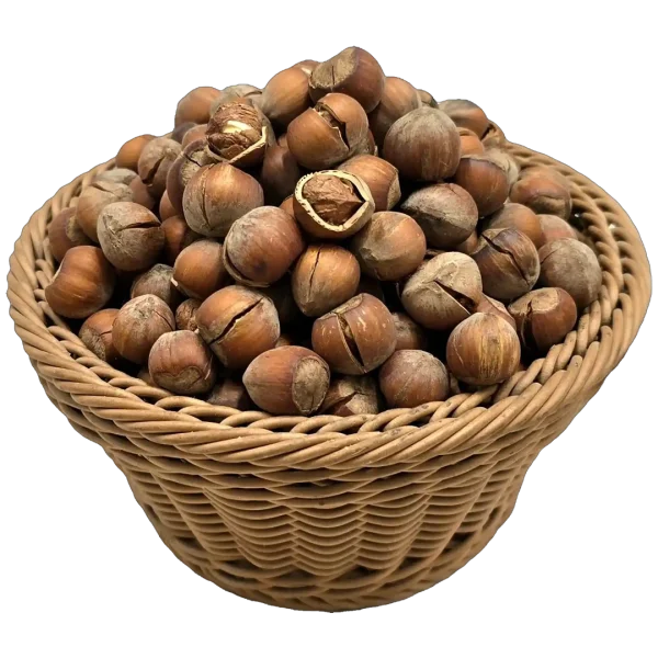 فندق خام