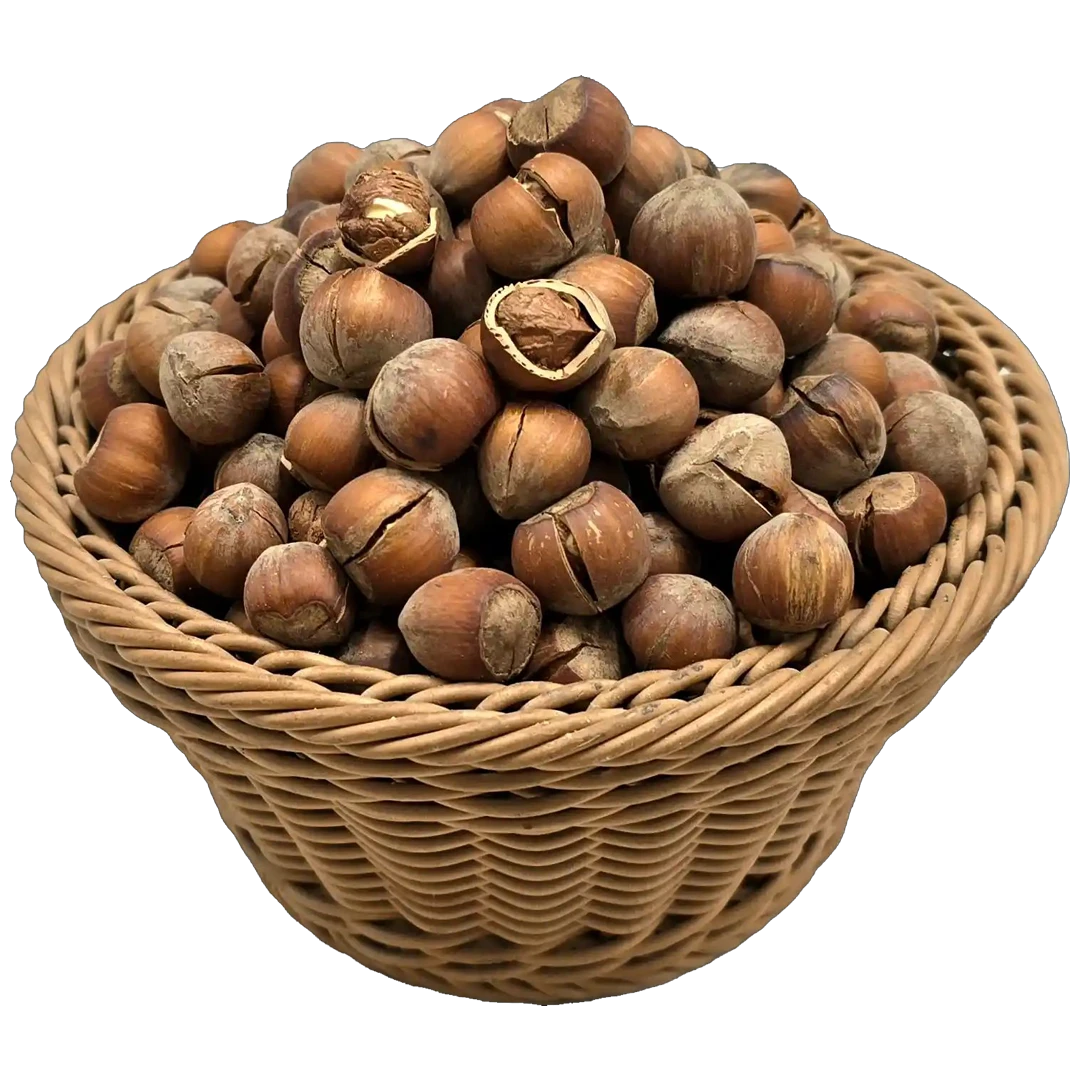 فندق خام فندق خام