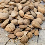 بادام با پوست ریز