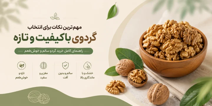 راهنمای خرید گردو